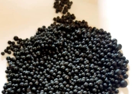 WhatsApp Image 2021-08-21 at 8.58.55 PM.jpg